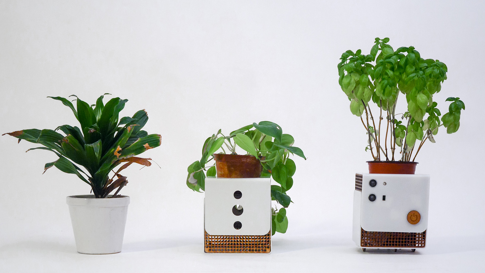 Project Header Image - Ponyu