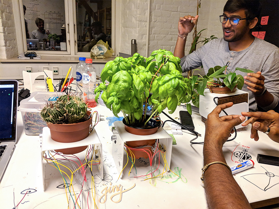 The wires in making of Ponyu