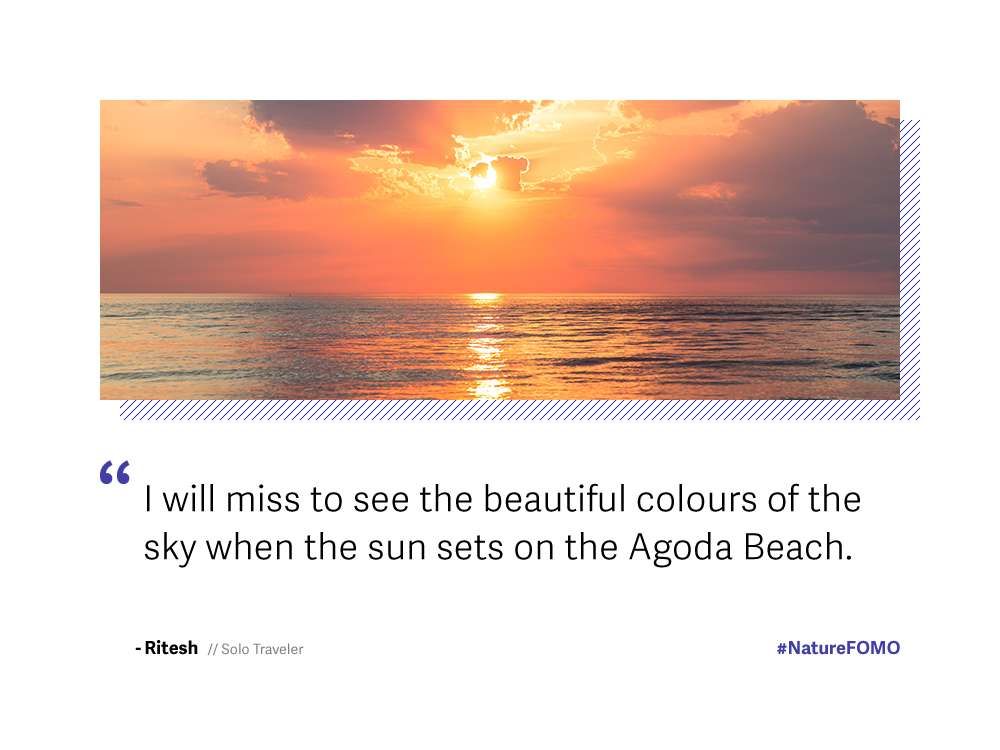 Fear of missing out Nature